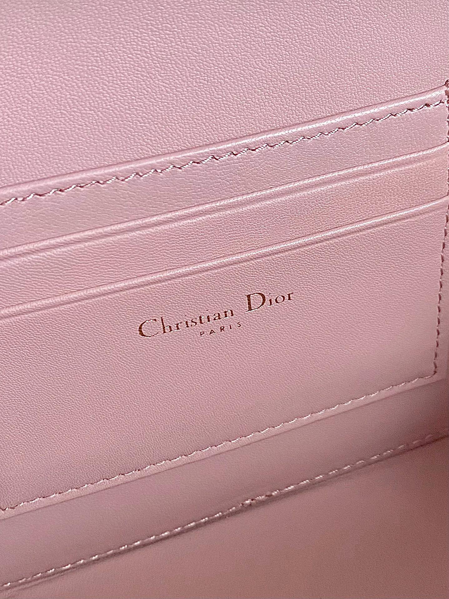 DIOR CARO 18 CAMERA BAG IN LIGHT PINK CALFSKIN