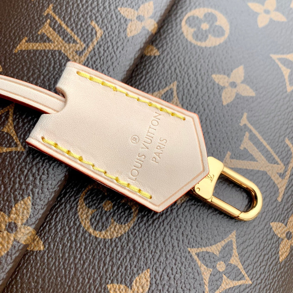 LOUIS VUITTON CLUNY MINI 20 IN BROWN MONOGRAM CANVAS