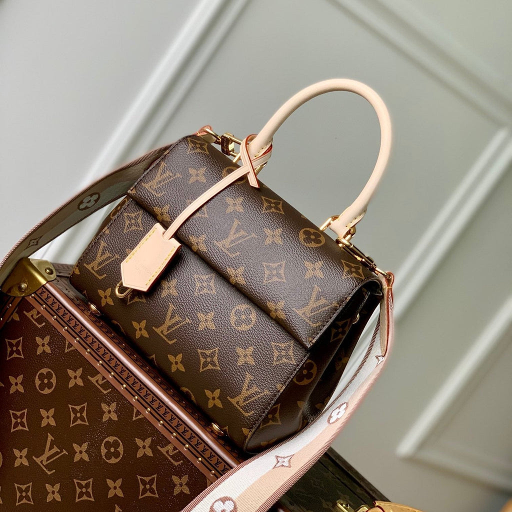 LOUIS VUITTON CLUNY MINI 20 IN BROWN MONOGRAM CANVAS