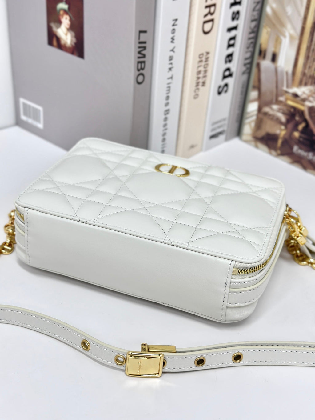 DIOR CARO BOX 19 IN WHITE CALFSKIN