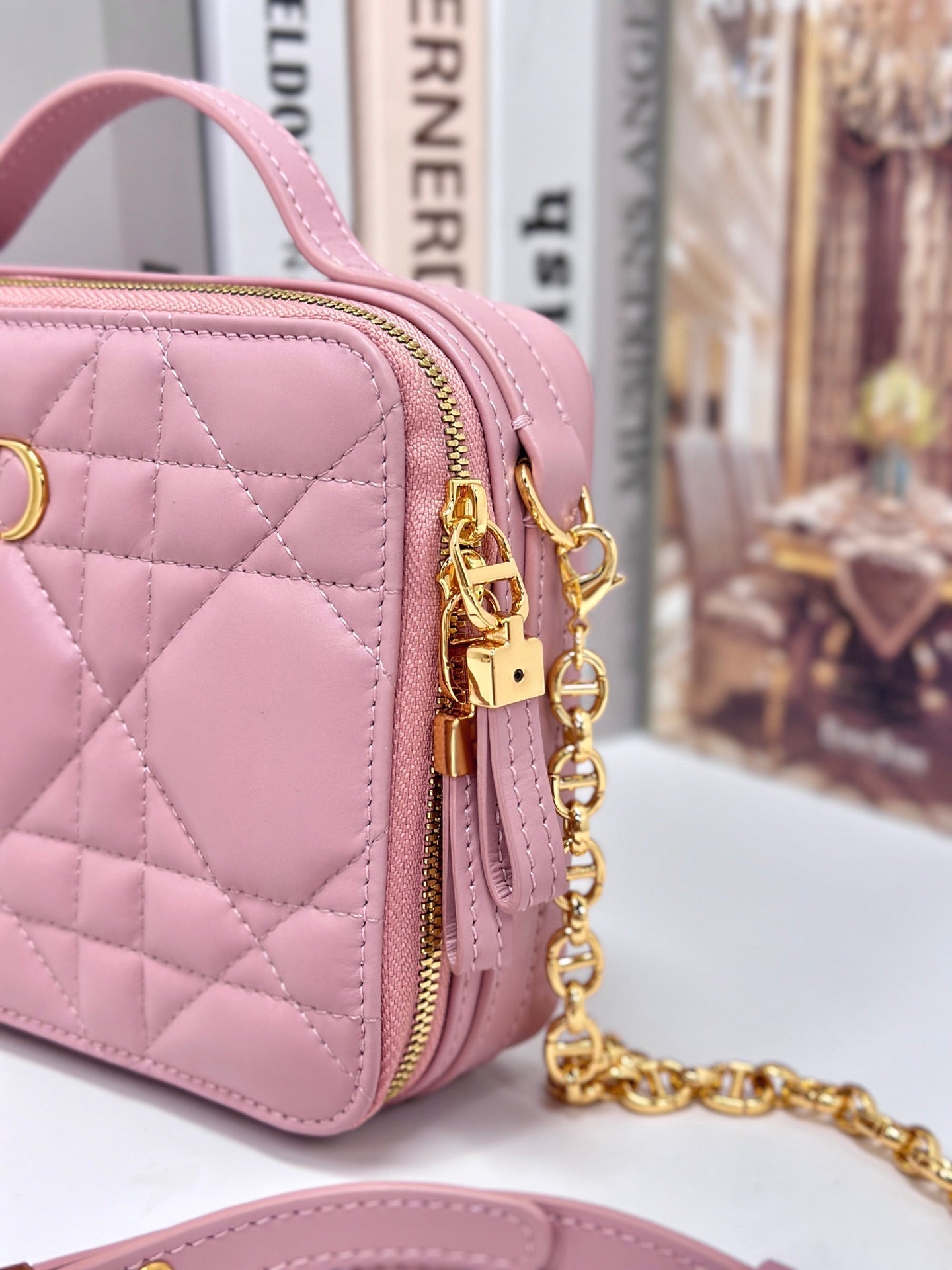 DIOR CARO BOX 19 IN LIGHT PINK CALFSKIN