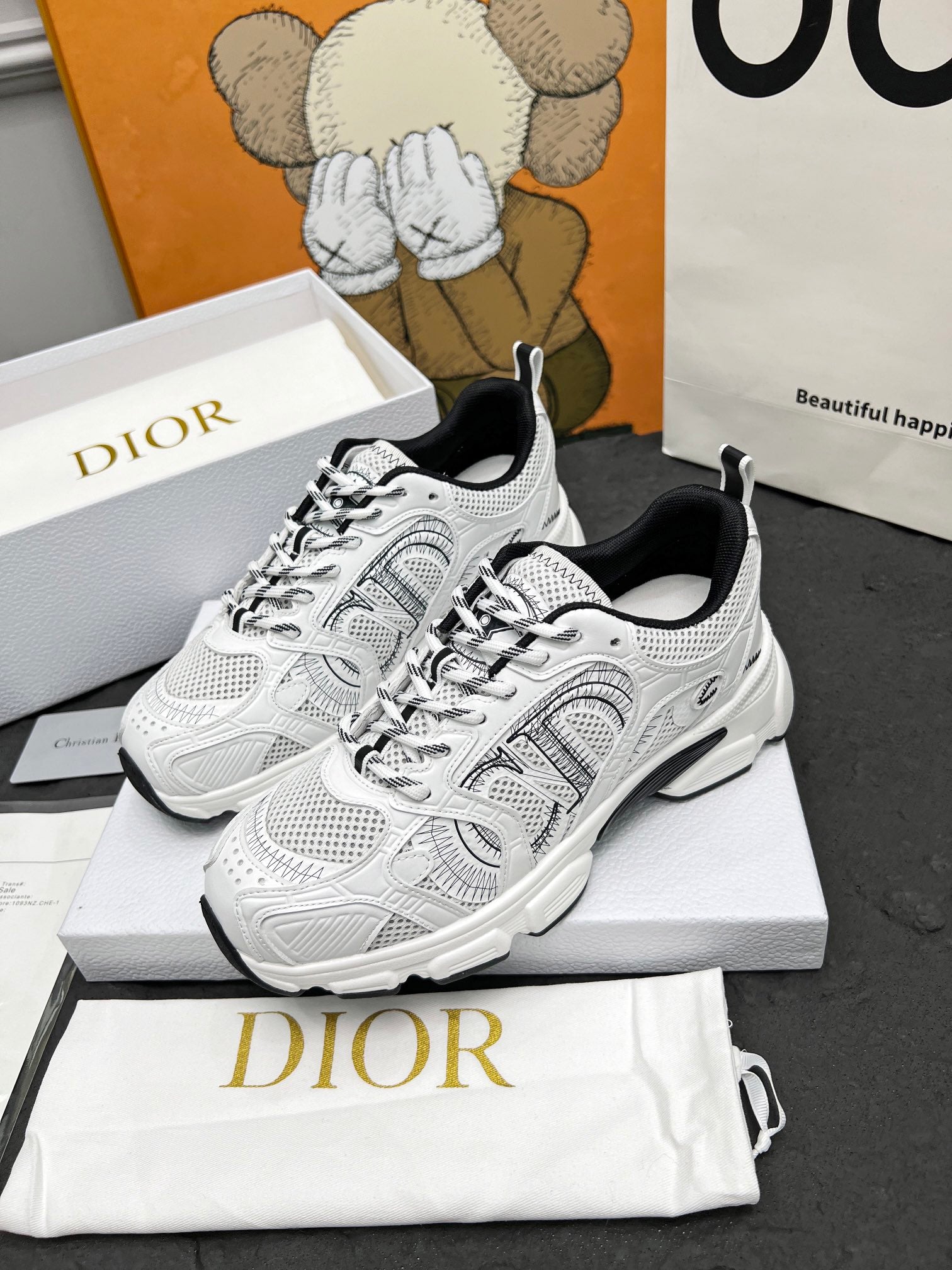 DIOR CD CHRONO SNEAKERS IN WHITE AND BLACK MESH