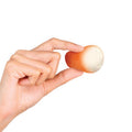 NeeDoh Dohnut Holes sensory toy