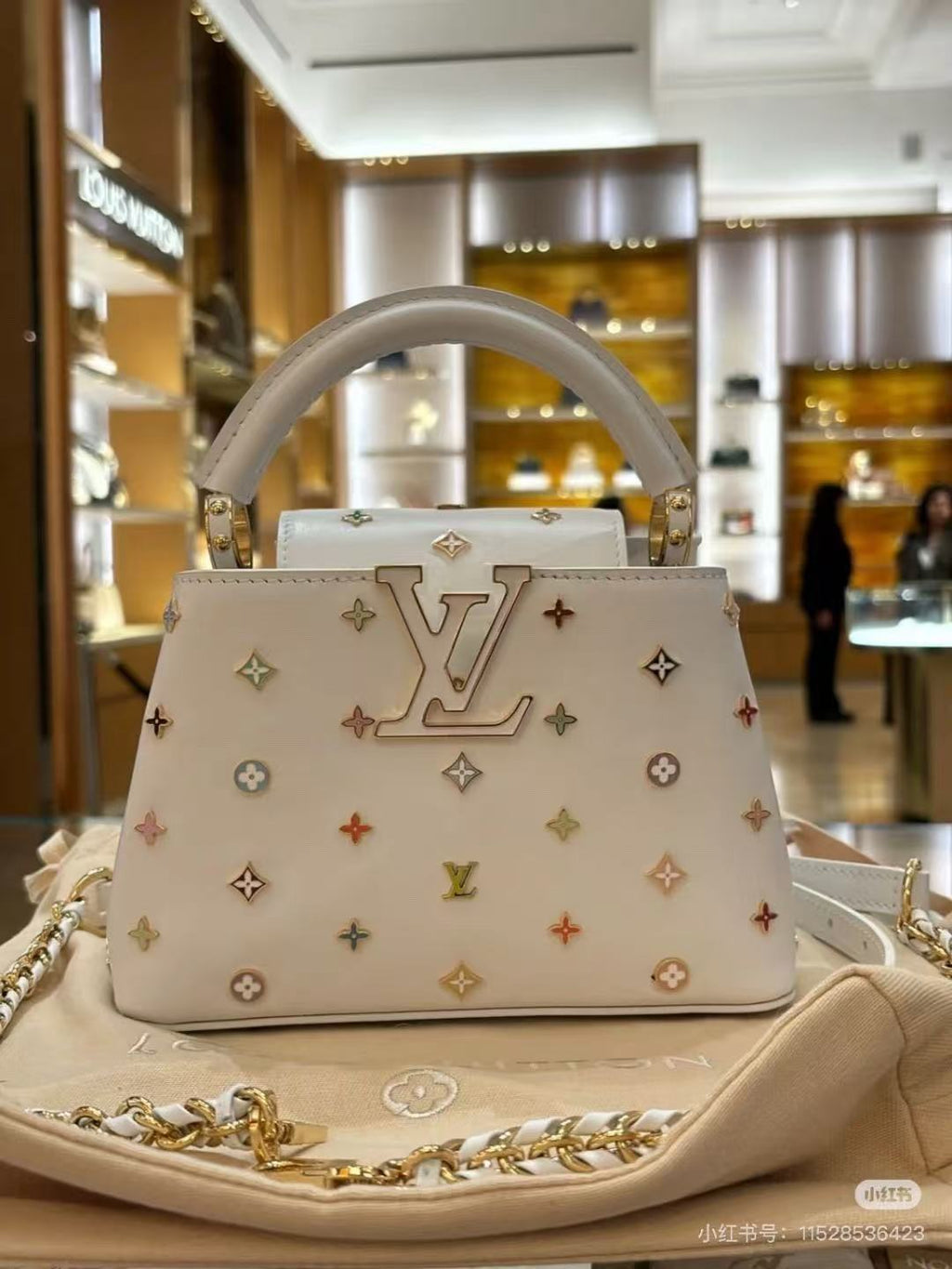 LOUIS VUITTON LV CAPUCINES 21 IN MULTICOLOR CALFSKIN GOLD HARDWARE TP2