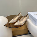 DIOR POINTED TOE HEELS 55MM IN NUDE MESH WITH RHINESTONES