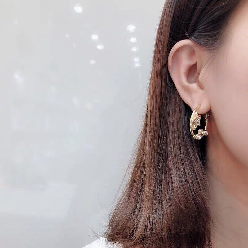 18K Dior Star Pink Crystals Earrings