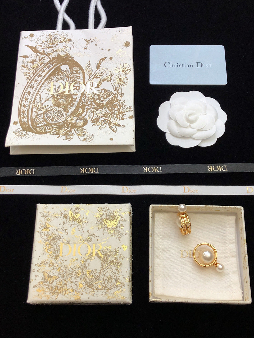 18K Dior D-Backstage Earrings
