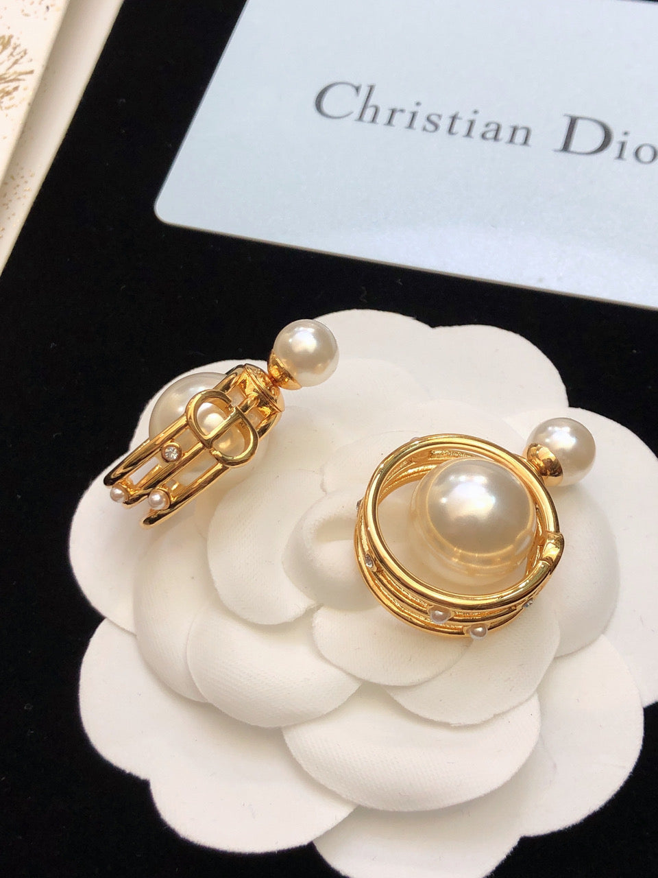 18K Dior D-Backstage Earrings
