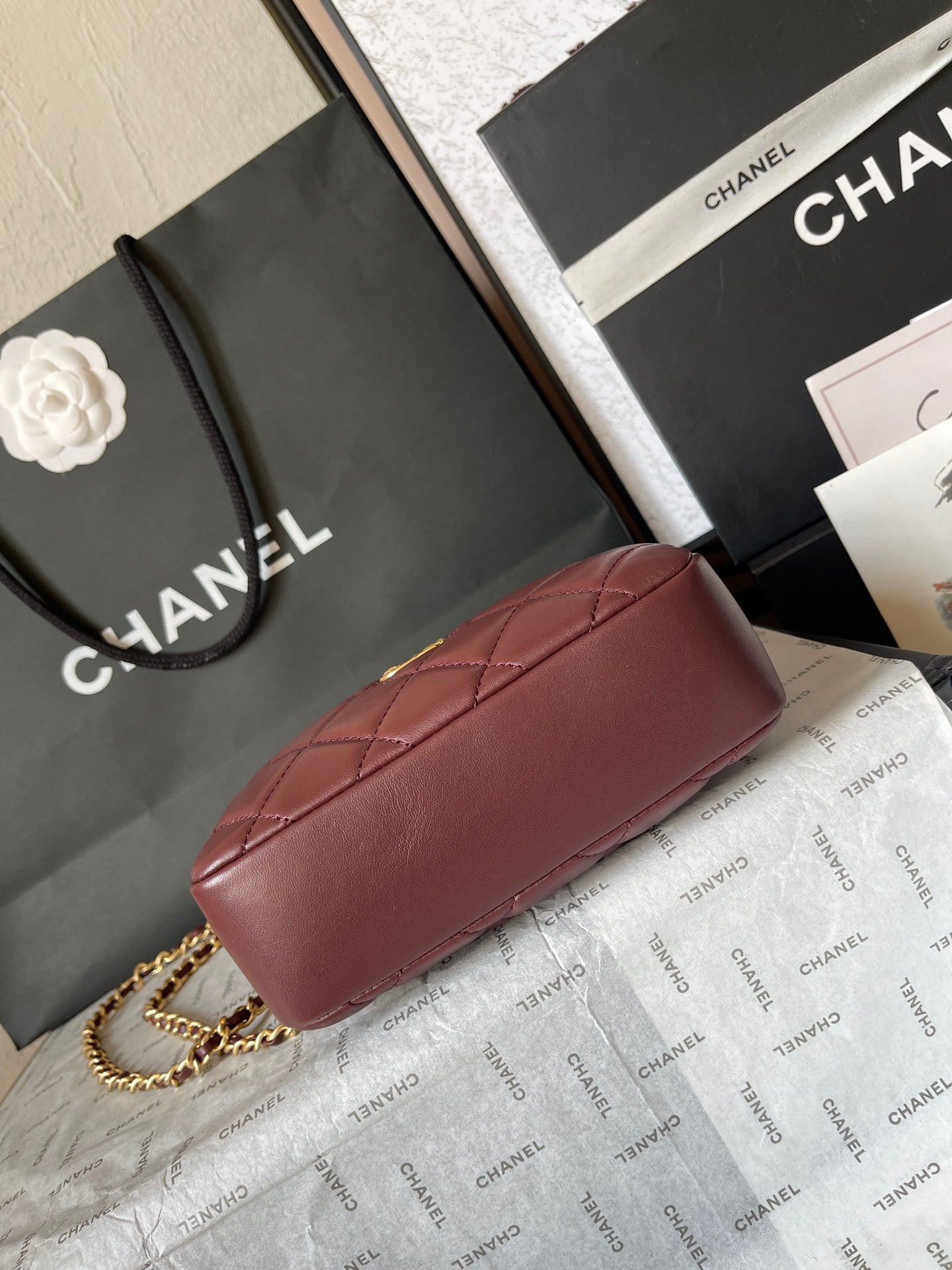 CHANEL CAMERA BAG 18 IN BUANEER RED QUILTED LAMBSKIN DOUBLE C GOLD COIN