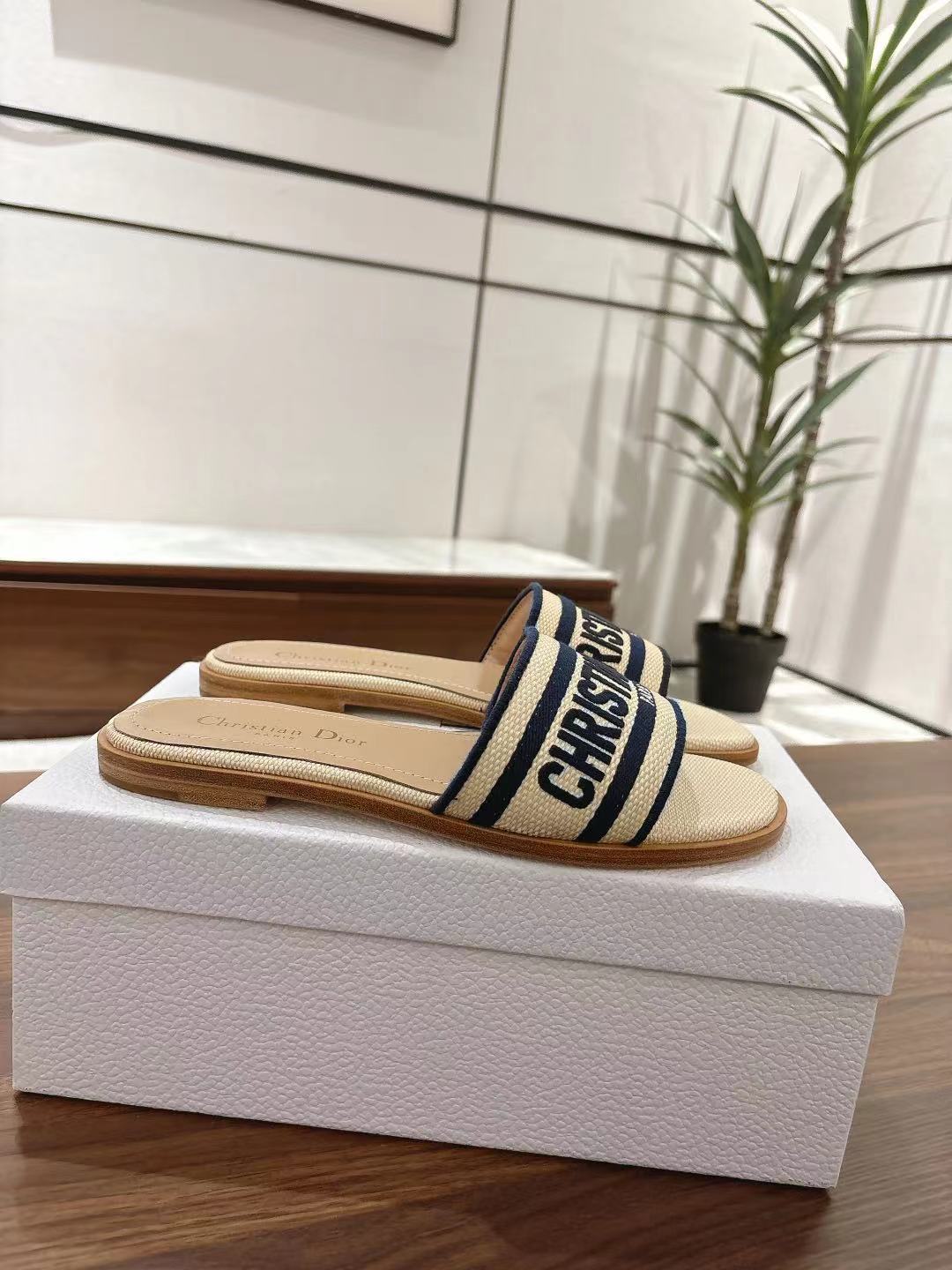 DIOR DWAY SLIDES IN BEIGE AND NAVY BLUE TECHNICAL FABRIC
